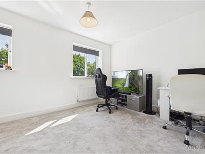 Picture 19